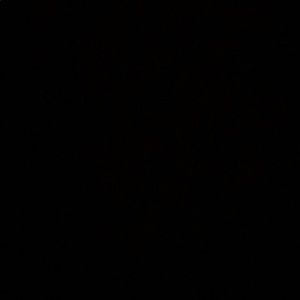 Meet your Posher, Zack